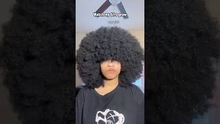 Watch my afro GROW in 10 seconds 🪮👩🏽‍🦱 #afro #hair #haircare