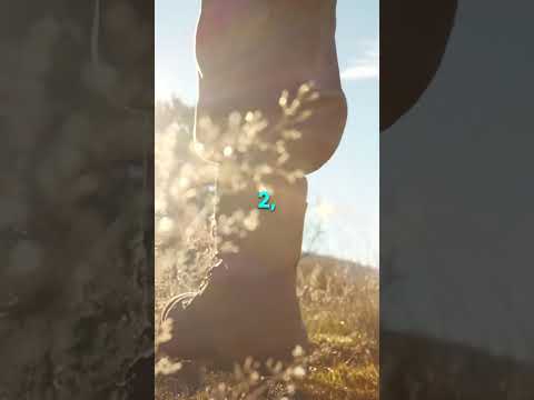 Supercharge Your Energy with Light! ☀️ #shorts #energy #diet #sunset #sunrise #sun