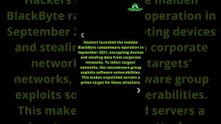 The Terrifying Truth behind BlackByte Ransomware #computerhackers #computerhacking #cybersecurity