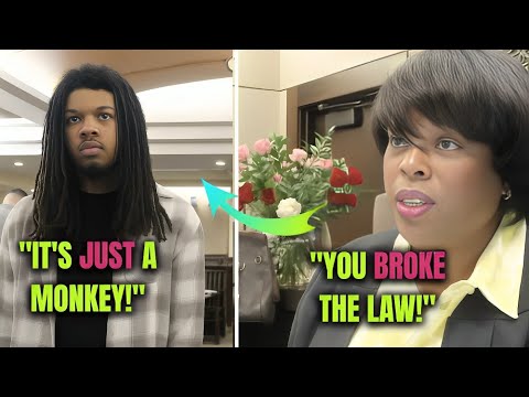 "Plea Deal BACKFIRES! Judge Schools Monkey Owner in Courtroom Showdown!"