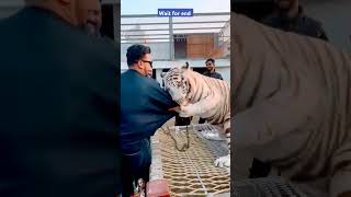 ytshorts #viralshorts #feedshorts @ManojDey @TechnicalJishan@noumanhassan8