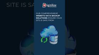 "Protect Your Website with Reliable Data Backup! Our comprehensive website data backup solutions...