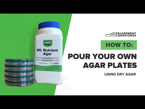 How to Pour Your Own Dry Agar Plates