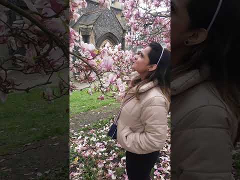 Londay day out during Spring 🫶 #londonlife #springinlondon