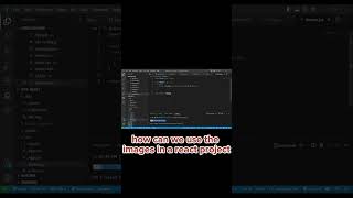 React for Beginners: Images and Components