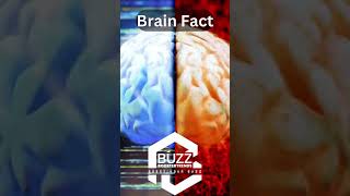 Do you know? 🧠 #brainfact #viralfact #fyp #dailyfact #ytshorts #buzzboostertrends #boostyourbuzz