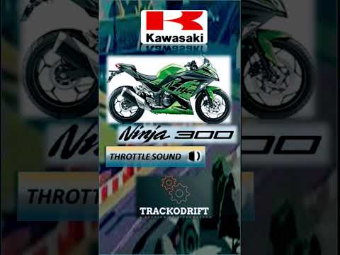 Kawasaki Ninja 300 Throttle Sound. #blogger#rider #travel #kawasakininja