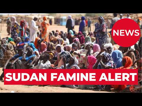 SUDAN: 13.6 Million Displaced as Hunger Spreads - Latest Update