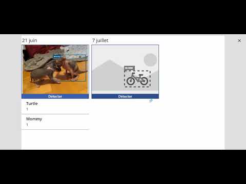 AI Builder - Object Recognition - Projet Chatons - 2e partie