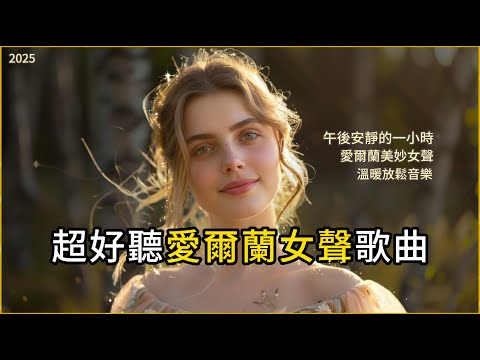 【安靜的一小時】溫暖愛爾蘭女聲 x 民謠 x lofi｜閱讀工作放鬆必備背景音樂 ｜陪你一起放鬆休息🎧樂來樂愛 Music #讀書音樂#工作音樂#愛爾蘭