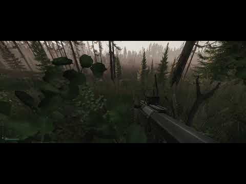 Tarkov - Single Highlight - 3rd Partied by a fellow Bush Rat :D