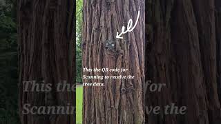 Treescape Power QR Code Tags | Tree/Plant Maintenance Software