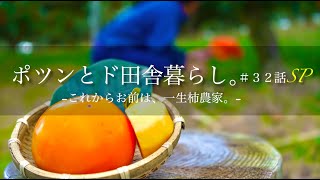 【ポツンと農業】一生、柿農家の理由。｜農業Youtuber一年で一番超忙しい一日密着｜アラサー農業男子のソフトな柿の知識｜奈良産
