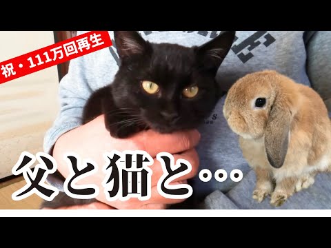 【感動秘話】父の「猫大反対」に隠された真実