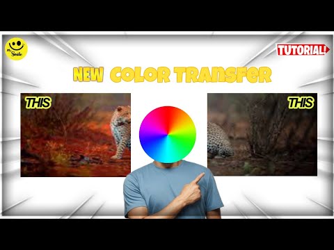 Photoshop MAGIC! Color Transfer Secrets in Tamil Revealed!