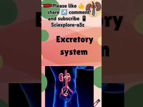 Excretory system.easy explanation of excretory system 👍👆👆😊#shorts #youtube