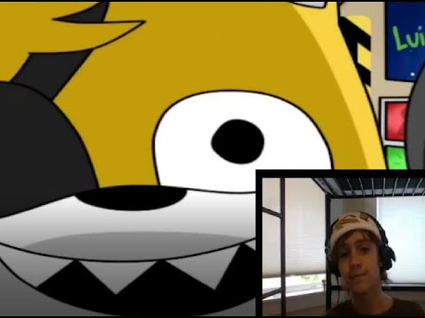 WHY TAILS WHY?