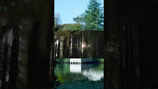 Silent Background for Deep Focus | No Music, No Talking for Relaxation ,Studying & Reading