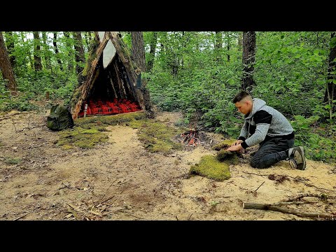 Building a Bushcraft Shelter Survival in the Wild