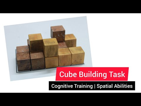 Cube Building Task | Spatial Ability | Cognitive Training