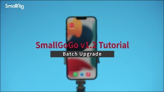 v1.2 02_BatchUpgrade