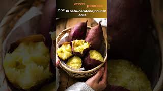 Top 10 Foods That Help You Live a Decade Longer, Wise Well Elders 365