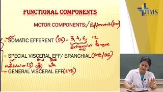 Topic : Cranial Nerve Nuclei with Functional Component - Part II