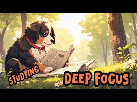 🔥 Calm & Steady Study Music | Focus & Get Things Done | Deep Focus