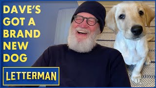 Dave's Got A Brand New Dog | David Letterman