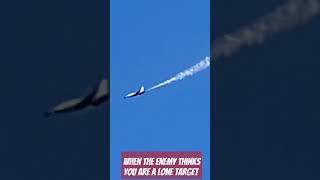 #aviation #thunderbirds #airshow #airforce #fighterjet #coolstuff #neveralone #usa #theruralreport