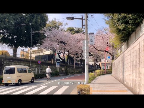 [ᴘʟᴀʏʟɪꜱᴛ] 전주만 들어도 몽글거리는 봄 플레이리스트 🌸🎧