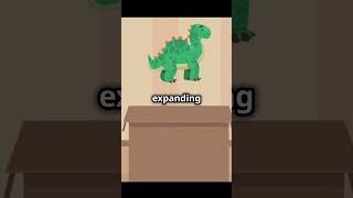 Master CSS Animations with Display & Size and Become a PRO Developer!