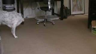 4. (c) subject moving in and out of frame