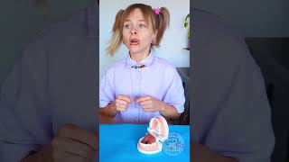 🪥 Floss Like a Pro! 🦷 Teaching Kids Good Dental Habits