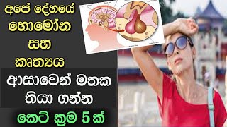 Hormones in our body | biology short cuts | A/l - Endocrine