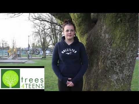 "Please Buy a Tree for Me" - Torri