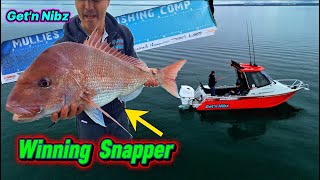 One Bite One Fish & ONE NEW PB SNAPPER | Mullies Marine Fishing Comp 2025 | EP#57