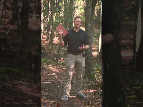 God Forgives, But Don’t Play With Sin ⚠️🙏#GodForgives #LiveHoly #GraceAndTruth