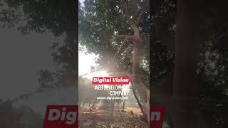 #webdevelopmentcompany #digitalvision #computercollege