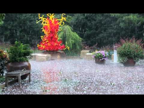 hailstorm at chihuly exhibit - dallas arboretum