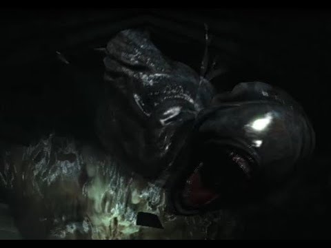 Jimmy The Rasklapanje