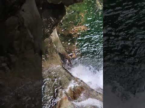 Beautiful BC