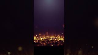 Free Video Loops - No Copyright Videos Purple Drop Loop #freevideobackgrounds
