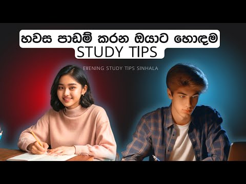 Evening Study Tips Sinhala | හවස පාඩම් කරන අය සඳහා | Study Tips for Evening Learners