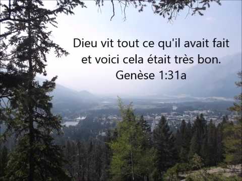 Genèse 1:31a - LSG