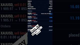 #copytrading #xauusd | 20% - 50% Per Month