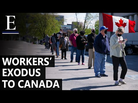 Why Are Millions Of American Workers Leaving To Canada