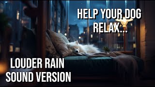 Help Your Dog Sleep: 1-Hour Japanese Spitz 🐶 Lofi Music 🎵 with Heavy Rain Storm Sounds☔