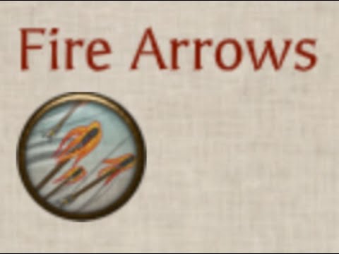 Shogun 2 Meme
