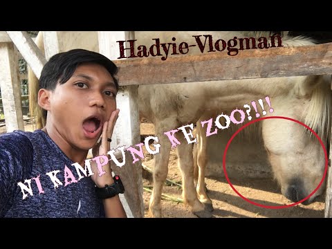 Kampung dah macam Zoo?! 🙀 #vlog-man